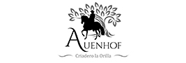 Logo Paso Finos vom Auenhof Zucht, Reitunterricht & Beritt