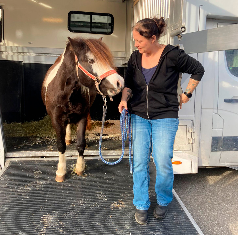 Melanie Harth-Heel führt kleines Pferd aus ihrem Pferdetransporter